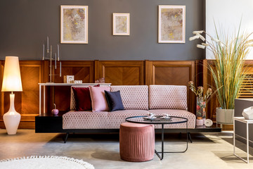 Stylish interior of living room with design pink sofa, elegant pouf, coffee table, plants, pillows,...