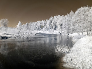 infrared photo: landscape with river, and amazing beautiful trees and glare
