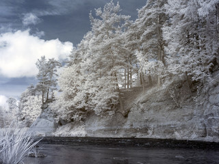 infrared photo: landscape with river, and amazing beautiful trees and glare