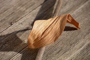 dried orchid leaf on wooden background, orchid leaf with dry cells in focus
