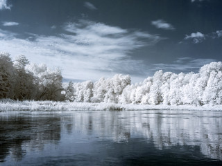 infrared photo: landscape with river, and amazing beautiful trees and glare