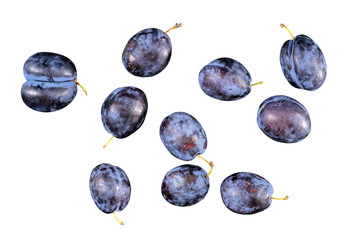 Violet isolated purple plums on a white background.