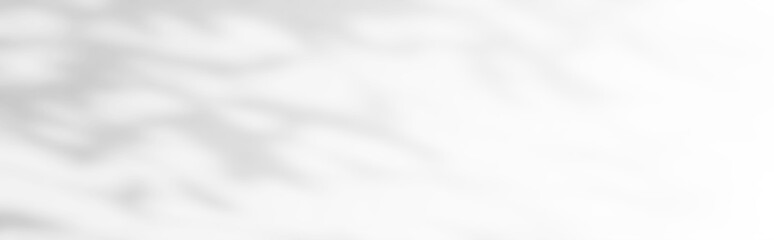 Abstract The gray background shadows of natural leaves that reflect the concrete walls, the fallen...