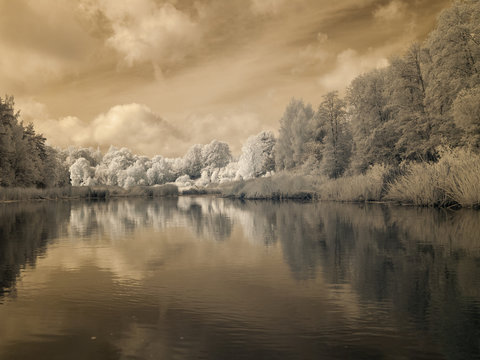infrared photo: landscape with river, and amazing beautiful trees and glare