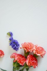 Fototapeta na wymiar Beautiful Flowers on a white Table, Background