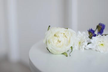 Beautiful Flowers on a white Table, Background