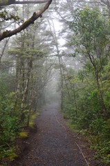 Tongariro Nationalpark Neuseeland