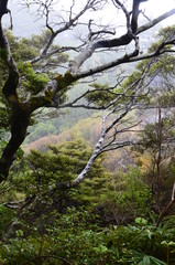 Obraz na płótnie Canvas Tongariro Nationalpark Neuseeland