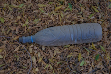 plastic bottle  thrown in dry leaves