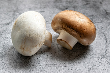 Close up of a brown mushroom and a white mushroom, on gray concrete surface