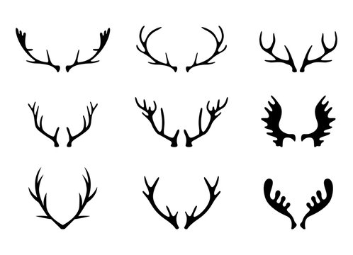 Hand Drawn Deer Antlers Vectors.