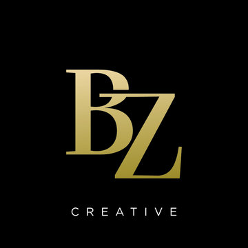 bz logo design vector icon