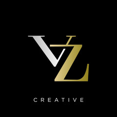 vz logo design vector