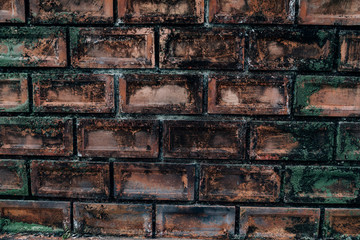 Art of green nature on the red-orange brick wall