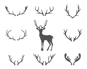 Fotobehang Black silhouettes of different deer horns, vector © nadia1992