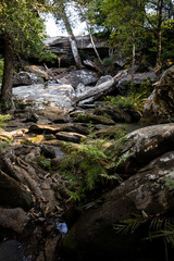 the waterfall in the summer forest. it as no water.