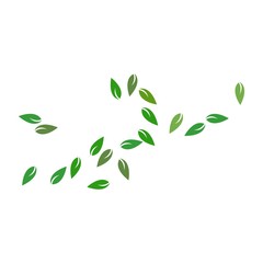 leaves background pattern