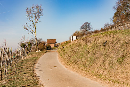 Wandern am Weinlehrpfad durch die Kulturlandschaft Weinberg