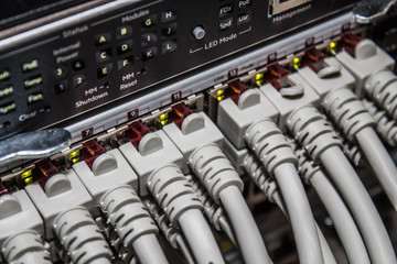 Fototapeta premium Network cables connected to a switch or hub. Close up on the ports and led.