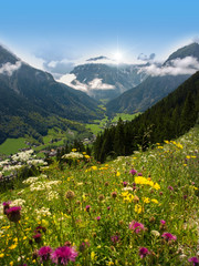 Tal in den österreichischen Alpen mit Blumen und Bergen