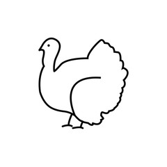 Turkey line icon. Symbol, logo illustration. Perfect vector graphics