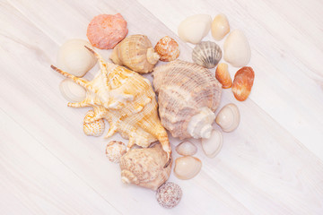 Seashells in the shape of a heart on a wooden light background. Travel and vacation concept. love of travel