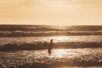 a man that practice kite surf is recovering the comet in a sunset in tarifa