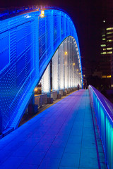 Fototapeta premium 永代橋