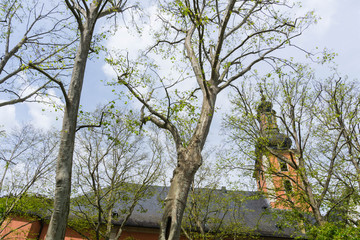 Church in Bad Kreuznach 