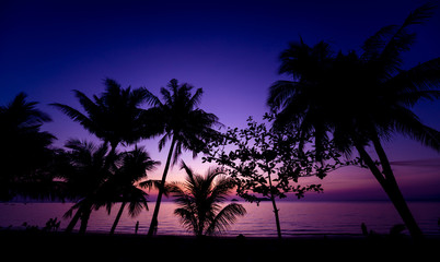 Beautiful sunset at the beach in the tropics. Sky and ocean