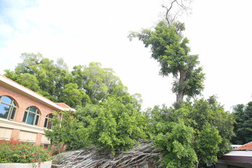 厦门鼓浪屿的风光建筑景点