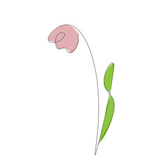 Spring flower tulip. Vector illustration