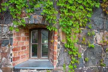 Fototapeta na wymiar Overgrown with greenery wall of natural stone. A small window in the thick stone wall. Picturesque wall of the old house. The house was overgrown with wild grapes. Old house and green branches.