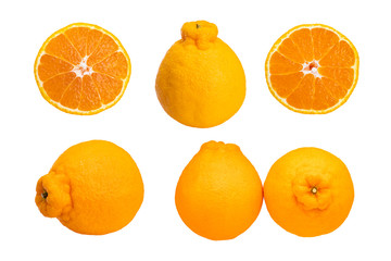 Set of Dekopon citrus fruit, a hybrid between Kiyomi and ponkan, isolated on white background.