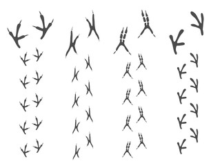 Paw Print. Traces of the bird on white isolated white background.