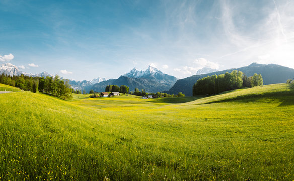 Idyllic mountain scenery in the Alps with lush blooming meadows in springtime