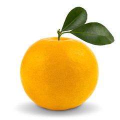 Tangerine Asian orange Thai fruit traditional fruit Fresh Oranges. on white isolated background. with clipping paths.