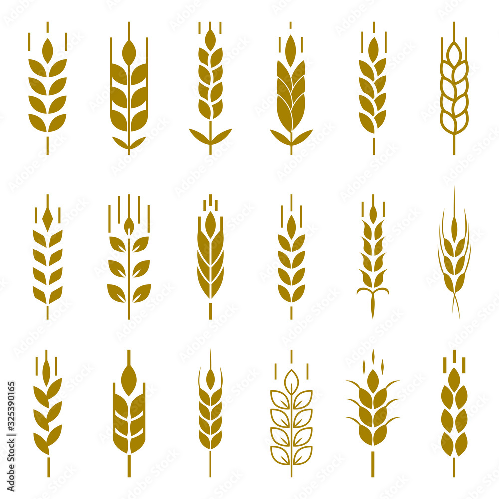 Wall mural Wheat ear symbols for logo design.