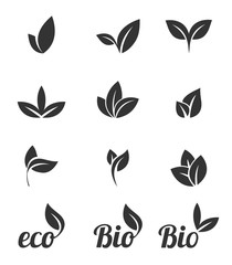 Icons of leaves. Vector illustration