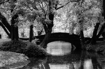 puente en el parque en blanco y negro