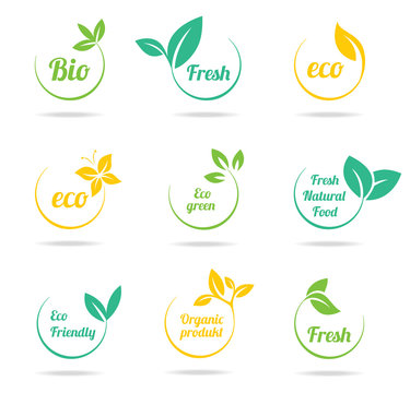 Set Of Green Labels And Badges With Leaves For Organic, Natural, Bio And Eco Friendly Products Isolated On White Background