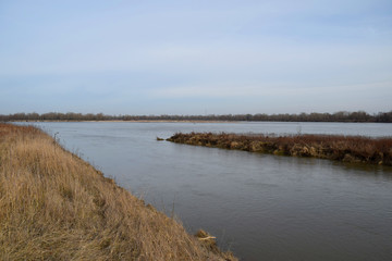 Wild Vistula river