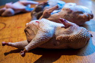 two chicken carcasses with seasoning on wooden board