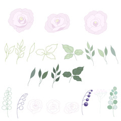 Delicate pastel roses, leaves. Vector illustration.