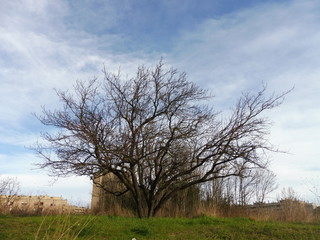 Obraz premium Photography