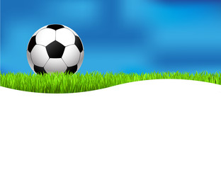 Obraz premium Fussball