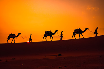 Fototapeta na wymiar Cameleers, camel Drivers at sunset. Thar desert on sunset Jaisalmer, Rajasthan, India.