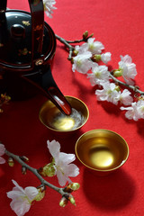 日本酒と桜でお花見