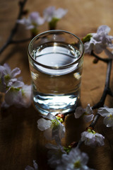 桜を見ながら日本酒を和ガラスのグラスで飲む