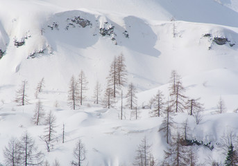 Snow covered mountains